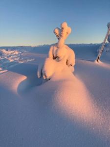 un hombre de nieve está sentado en la nieve en Winter Glamping Tent Hovfjallet Vitsand, en Torsby