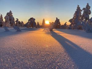 a snow covered road with the sun in the distance at Winter Glamping Tent Hovfjallet Vitsand in Torsby
