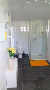 a bathroom with a shower and a toilet and a sink at La cousinade No in Noirmoutier-en-l'lle +14 photos
