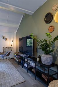 a living room with a tv and a potted plant at Huusje21 in Nunspeet