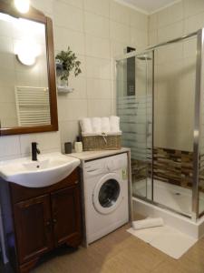 a bathroom with a washing machine and a sink at Magda Apartment in Sibiu