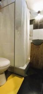 康提的住宿－Yak City Apartments，带淋浴和卫生间的浴室
