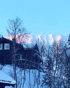 Modern och bekväm hytte nära Gaustatoppen, 3 sovrum 9 bäddar en invierno