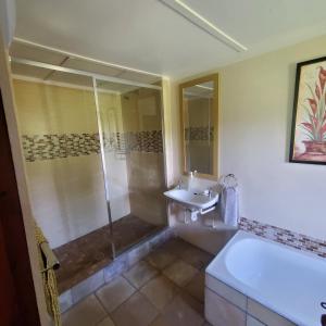 a bathroom with a shower and a toilet and a sink at Walkers Peak Cottage in Underberg +15 photos