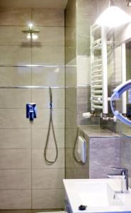 uma casa de banho com um chuveiro e um lavatório. em Villa Karpacz em Karpacz