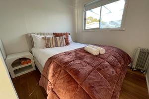 a bedroom with a large bed with a comforter and a window at PIPI SHACK - iconic waterfront shack Binalong Bay in Binalong Bay