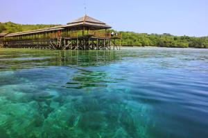 una gran masa de agua con un edificio en un muelle en SAPO SAPO, en Karema