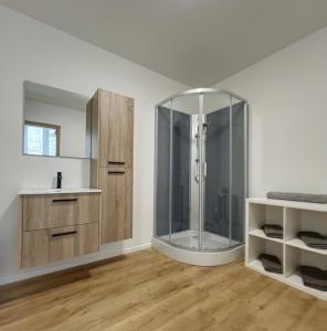 La salle de bains est pourvue d'une douche et d'un lavabo. dans l'établissement Wauters 77 Bruxelles -charleroi-airport, à Charleroi