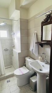 a bathroom with a toilet and a sink and a shower at Guesthouse Filokalia in Portaria