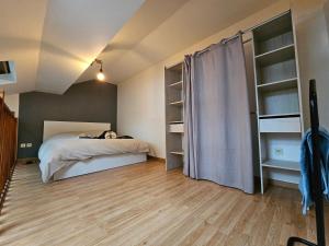 a bedroom with a bed and some shelves at La petite maison in Schiltigheim