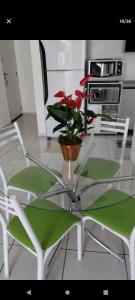 a glass table with a potted plant on it in a kitchen at Cidades Portuguesas in Florianópolis