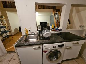 een keuken met een wastafel en een wasmachine bij La petite maison in Schiltigheim