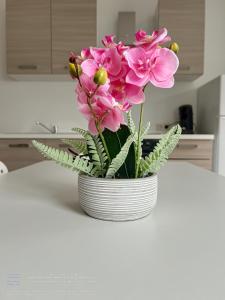 eine weiße Vase voller rosa Blumen auf dem Tresen in der Unterkunft Wauters 77 Bruxelles -charleroi-airport in Charleroi