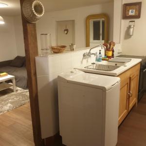 a kitchen with a sink and a washing machine at Au jardin de Lucie in Sainte-Croix-en-Plaine