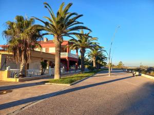 una calle con palmeras frente a un edificio en Apartamento Playa de Xilxes., en Moncófar