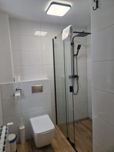 Kúpeľňa v ubytovaní Willa Kora