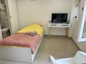 Televízia a/alebo spoločenská miestnosť v ubytovaní Chambre 14m2
