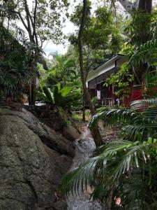 a house in a forest with a creek in front of it at Seafront Jungle Bungalow in Koh Phangan