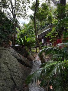 Seafront Jungle Bungalow