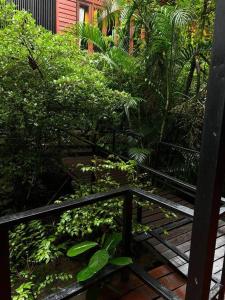 vistas a un jardín con árboles y plantas en Seafront Jungle Bungalow en Ko Phangan