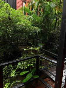 Seafront Jungle Bungalow