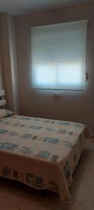 Bett in einem Zimmer mit einem Fenster mit einer Decke in der Unterkunft Apartamento a 100 metros del mar in Piles