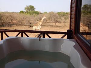 Fotografija v galeriji nastanitve Marloth Kruger View v mestu Marloth Park
