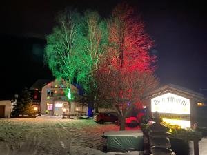 a christmas lighted tree in front of a building at Ferienhaus-Bungalow Heidi in Schöder