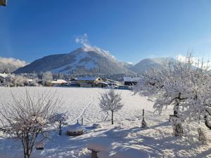 un campo cubierto de nieve con una montaña en el fondo en Steigental, en Kössen