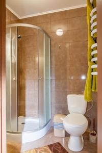 マイコリチンにあるSchale Centoriyaのバスルーム(トイレ、ガラス張りのシャワー付)