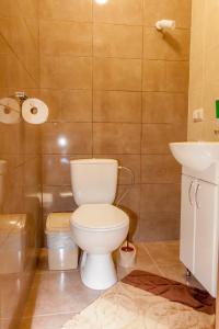 a bathroom with a toilet and a sink at Schale Centoriya in Mykulychyn
