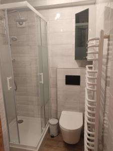 Kúpeľňa v ubytovaní Apartamenty u drwala