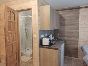 Kuchyňa alebo kuchynka v ubytovaní Apartamenty u drwala