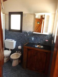 a bathroom with a toilet and a sink and a mirror at CABAÑAS SOLO POR HOY in Villa Pehuenia