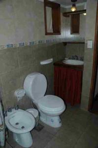 a bathroom with a toilet and a sink at CABAÑAS SOLO POR HOY in Villa Pehuenia