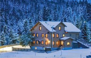 uma casa grande na neve com árvores cobertas de neve em Cozy Home In Mathon With House A Panoramic View em Mathon