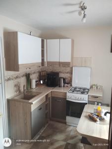 a kitchen with a sink and a stove top oven at Nocleg u Marysi in Iwonicz-Zdrój