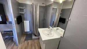La salle de bains est pourvue d'un lavabo et d'une douche. dans l'établissement Maisonnette studio jardinet, à Gréoux-les-Bains