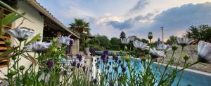 a garden with white flowers next to a swimming pool at La Marguerite in Brossac +22 photos