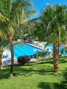 a large swimming pool with palm trees in a park at Flat 317 Golden Dolphin Express in Caldas Novas