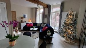 een woonkamer met een kerstboom en een bank bij Hermelgemhoeve - Zonnebloem in Zwalm