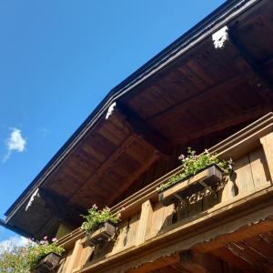 a building with potted plants on top of it at Apartement für Naturliebhaber in Fischbachau