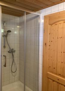 een badkamer met een douche en een bad bij Apartement für Naturliebhaber in Fischbachau