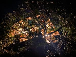 Galeriebild der Unterkunft Glamping Entrearboles - Bellavista in La Mesa