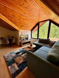 a living room with a couch and a tv at Pamporovo Rhodopi Pearl Apartments - Private Apartments in Pamporovo
