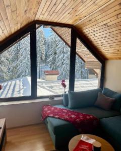 a living room with a couch in front of a window at Pamporovo Rhodopi Pearl Apartments - Private Apartments in Pamporovo