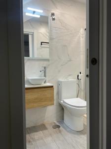 La salle de bains est pourvue de toilettes, d'un lavabo et d'un miroir. dans l'établissement Apartamentos para 10 personas en Barrio del Pilar, à Madrid