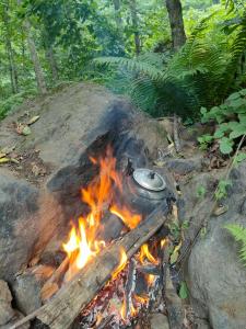a camp fire with a pot on top of it at ZORLU CAMp in Akcaabat