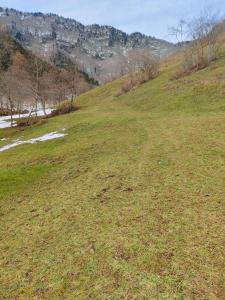 a field of grass with a mountain in the background at ZORLU CAMp in Akcaabat