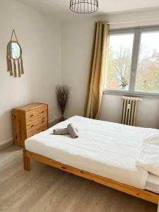 a bedroom with a bed and a window at CICONIA : CENTRE-VILLE MULHOUSE, PARC NOUVEAUX BASSINS A PROXIMITE in Mulhouse